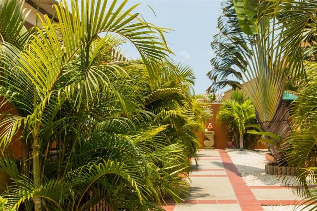 Carinas Studio Apartments Palm Beach Eksteriør bilde