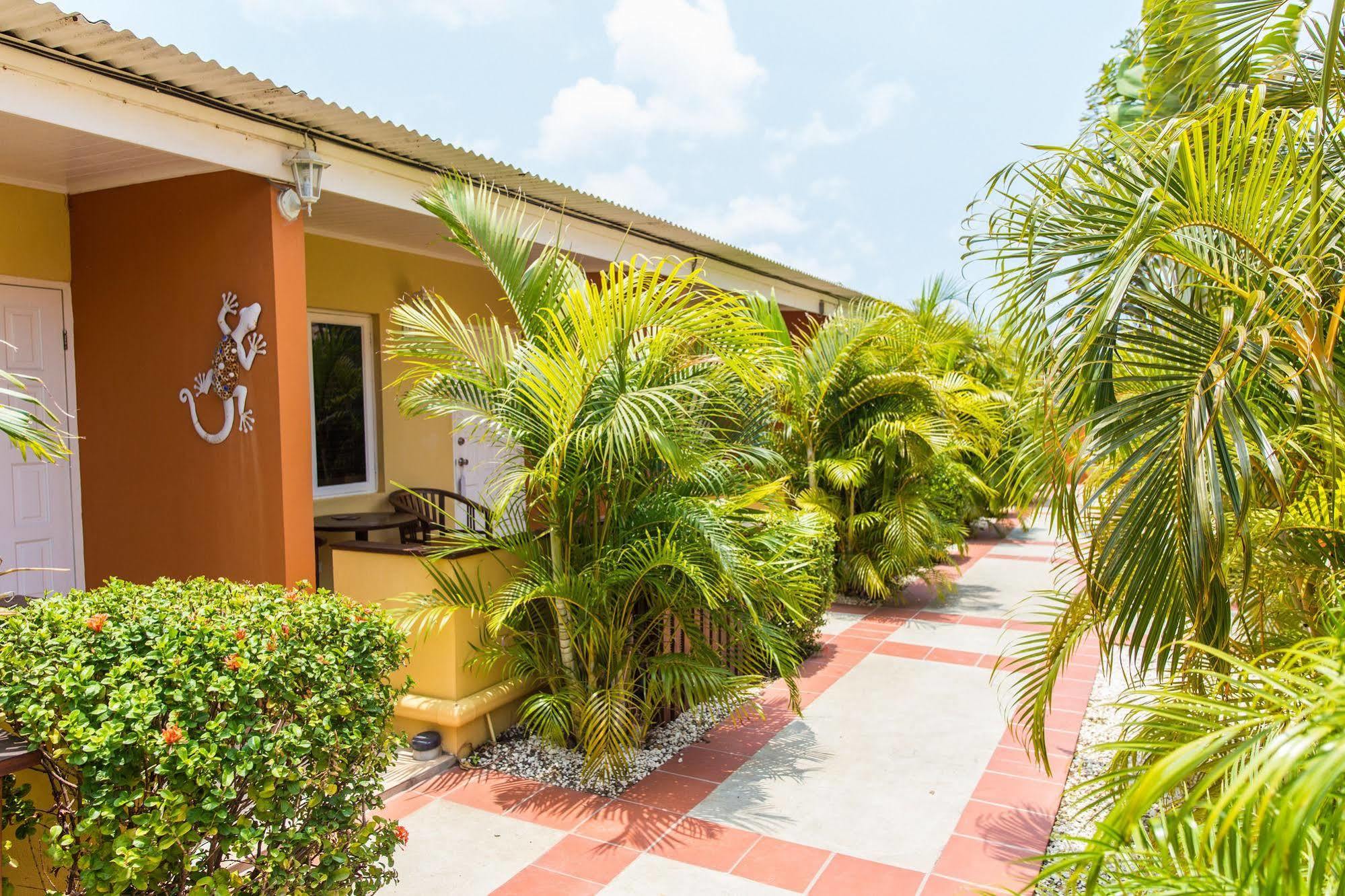 Carinas Studio Apartments Palm Beach Eksteriør bilde